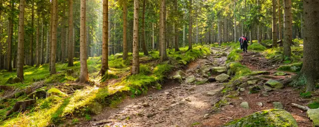 Szklarska Poręba: Szlaki turystyczne dla rodzin i ambitnych. Wybierz swój!