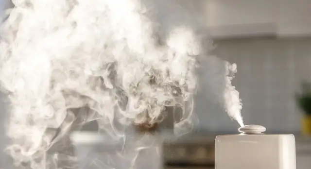 Nawilżacz powietrza: Zdrowie czy zagrożenie? Jak używać bezpiecznie.