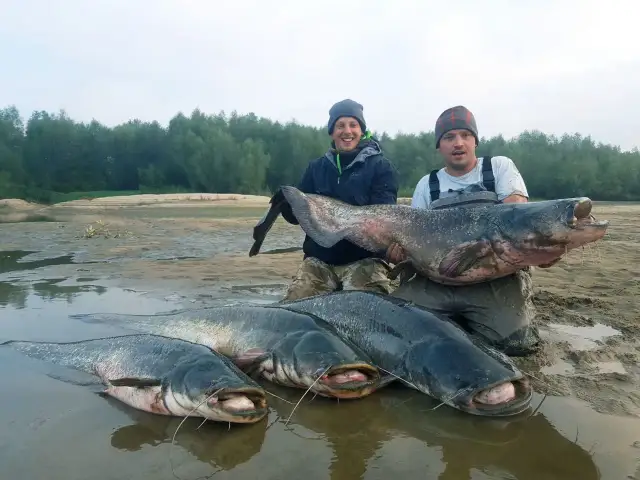 Gdzie na ryby w Świętokrzyskiem? Odkryj najlepsze łowiska i ryby