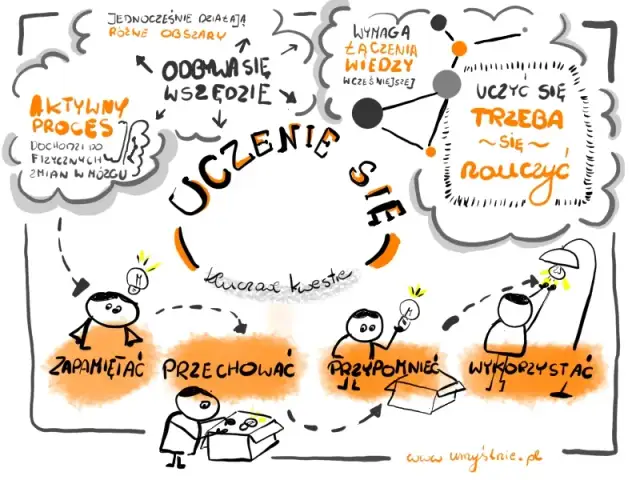 Jak efektywnie się uczyć? Opanuj mózg i techniki sukcesu!