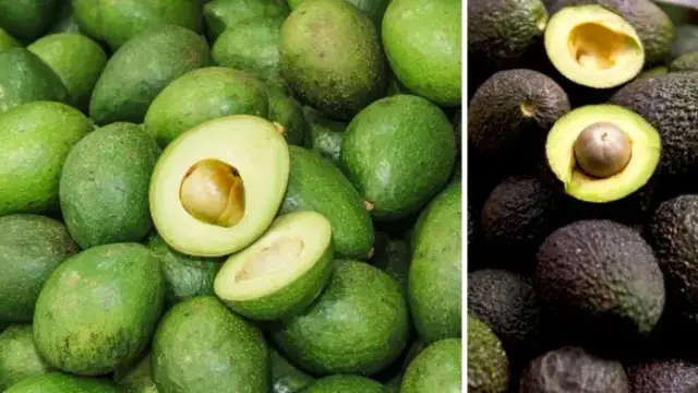 Jakie awokado wybrać, aby uniknąć rozczarowania w guacamole?