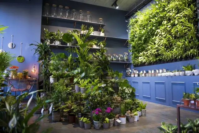 Najlepsze miejsca gdzie można kupić kwietniki - poradnik dla miłośników roślin