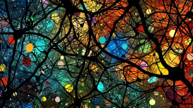 Przyczyny ADHD - czynniki wpływające na rozwój choroby