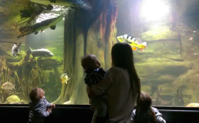 Gdzie na spacer z dzieckiem w Krakowie? Odkryj najlepsze miejsca