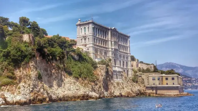 Oceanarium Monaco – Fascynujące życie morskie i atrakcje muzeum