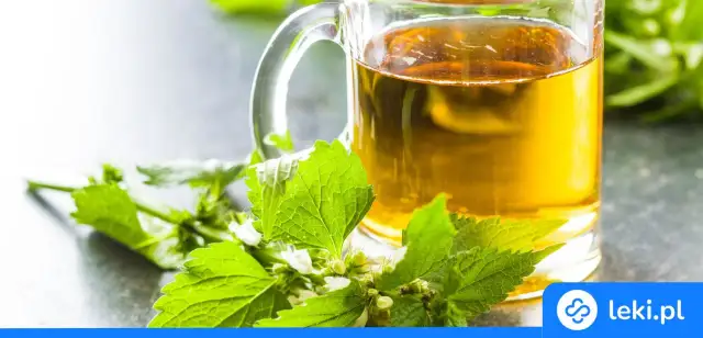 Jakie herbaty są moczopędne? Odkryj ich niespodziewane korzyści