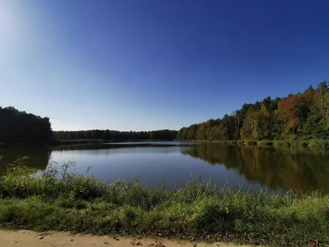 Spokojne jezioro otoczone jesiennym lasem, z widocznym brzegiem porośniętym trawą.
