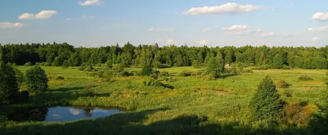 Atrakcje Suwalszczyzny i Podlasia: Odkryj zielone płuca Polski!