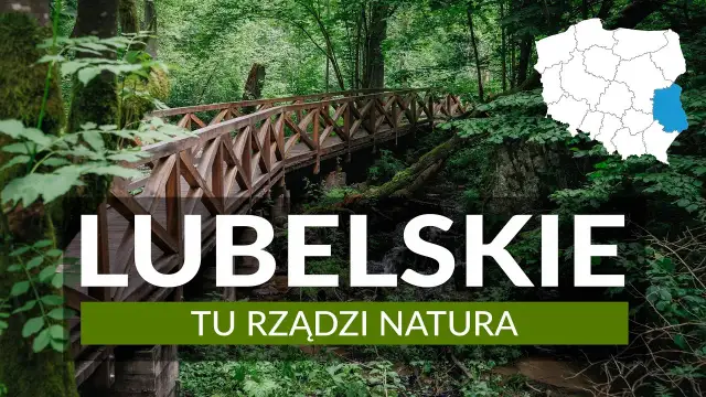 Odkryj Lubelskie: Co zwiedzić? Od zabytków po dziką naturę!