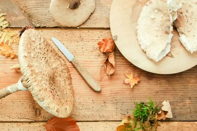 Jak grillować kanie: przepisy, marynaty i bezpieczeństwo grzybów