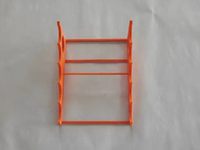 Ile kosztuje hodowla mrówek? Sprawdź, ile wydasz na start