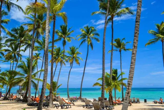 Rajski widok na plażę z palmami i turkusowym morzem. Idealne miejsce na relaks w kwietniu na Dominikanie.