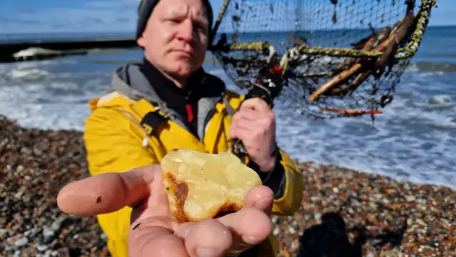 Gorączka Bałtyckiego Złota: Jak szukać bursztynu nad morzem?