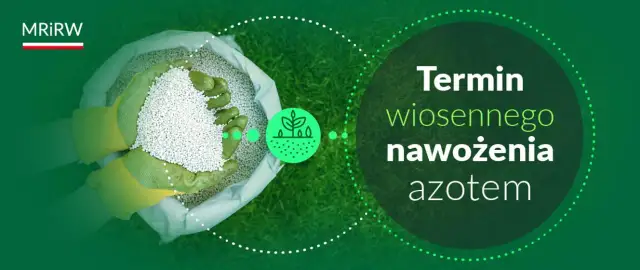 Kiedy można siać nawozy azotowe wiosną? Sprawdź kluczowe warunki