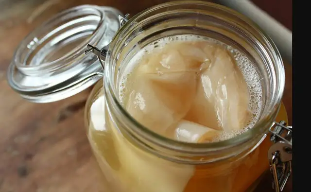 Grzybek kombucha (SCOBY): Co to jest? Rozpoznaj zdrową kulturę i pleśń!