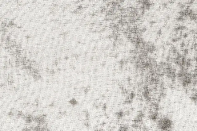 Szare plamy pleśni na białym materiale. Dowiedz się, jak usunąć czarne plamy pleśni z materiału, aby przywrócić mu czystość.