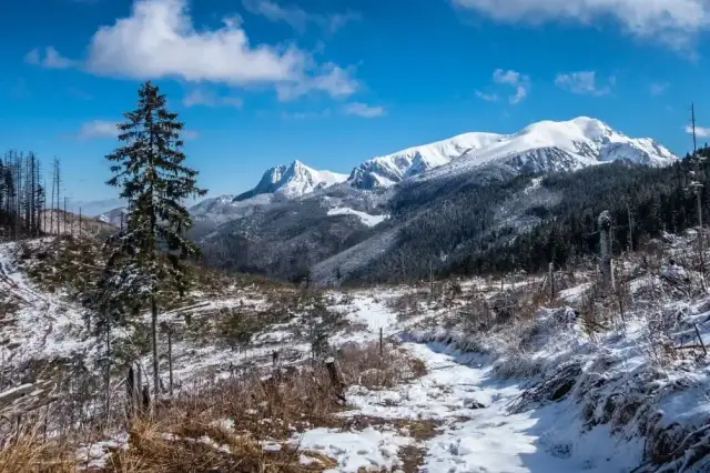 Tatry zimą: Jakie szlaki wybrać? Bezpieczny przewodnik