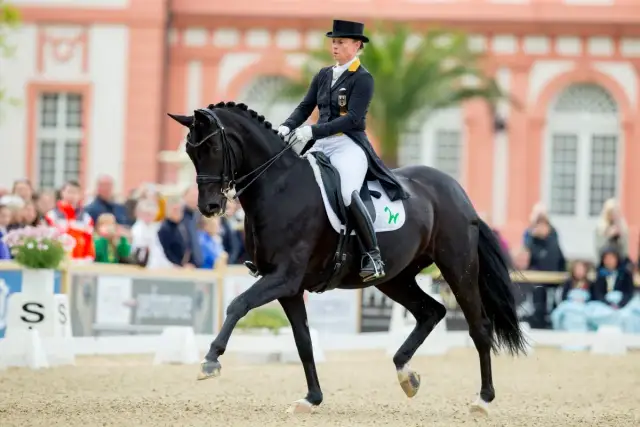 Jeździectwo na igrzyskach olimpijskich: co musisz wiedzieć o zawodach