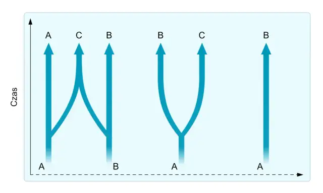 Izolacja geograficzna: Jak bariery tworzą nowe gatunki?