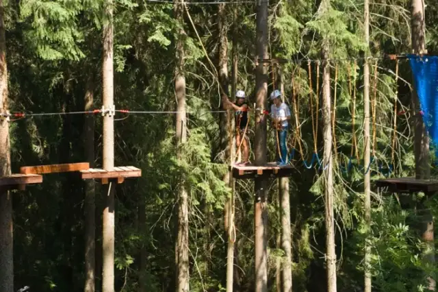 Park Linowy Stary Bór: Trasy, Cennik, Dojazd Planuj Przygodę!