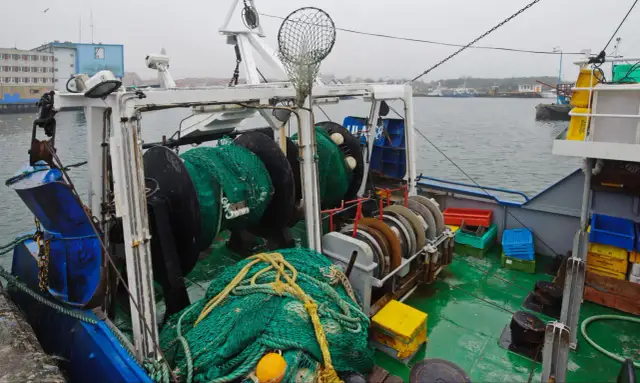 Kiedy można łowić dorsza na Bałtyku? Sprawdź aktualne zasady i terminy