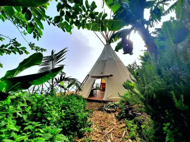 Madera gdzie nocleg – najlepsze miejsca na komfortowy wypoczynek