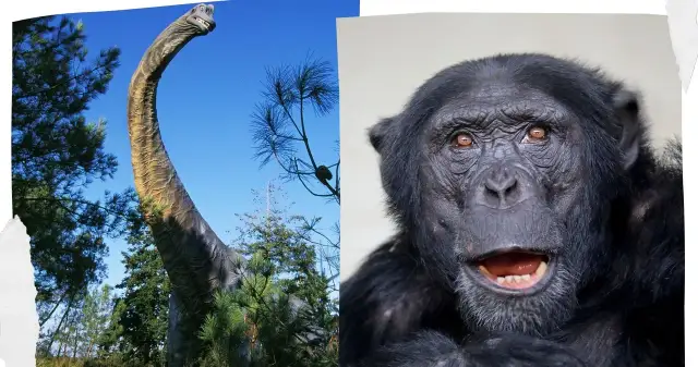 Jak zmieniła się szata roślinna na Ziemi? Zaskakujące zmiany w historii