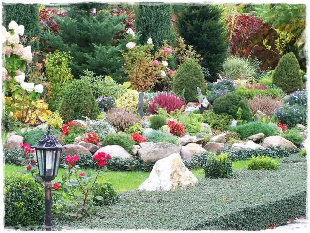 Co posadzić na działce? Porady eksperta dla każdego ogrodu