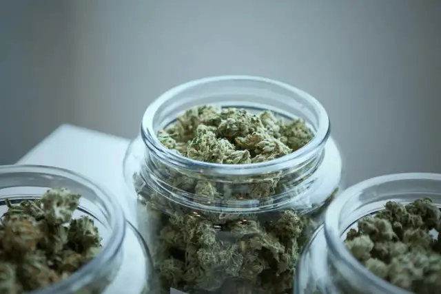 THC vs CBD: Kluczowe różnice, legalność i zastosowanie w Polsce