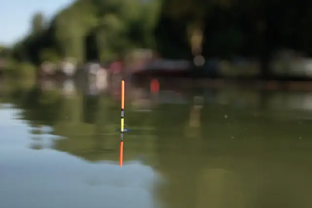 Pływak na wodzie, gotowy do łowienia. Dowiedz się, jak uzbroić wędkę na splawik, by cieszyć się wędkarską przygodą.