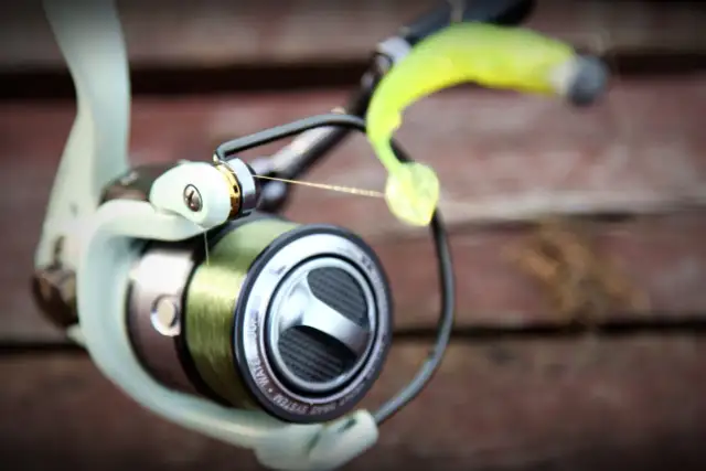 Jaką grubość żyłki na spinning wybrać, by nie stracić ryby?