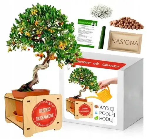 Jaki nawóz do bonsai - wybierz najlepszy dla zdrowych drzewków