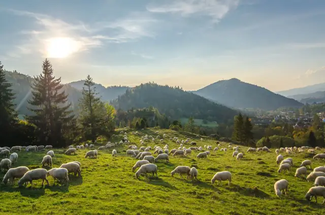 Pieniny gdzie nocleg - najlepsze miejsca na wypoczynek w górach