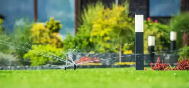 Jakie zraszacze do ogrodu wybrać, aby uniknąć problemów z nawadnianiem?
