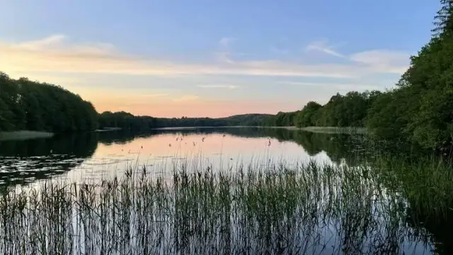 Najlepsze atrakcje w Polanowie, które musisz zobaczyć na wyjeździe
