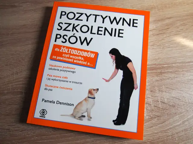 Szkolenie dorosłego psa: Praktyczny przewodnik po pozytywnych metodach