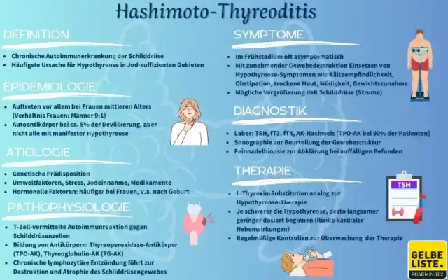 Hashimoto & Gehirn: Neurologische Symptome erkennen & behandeln