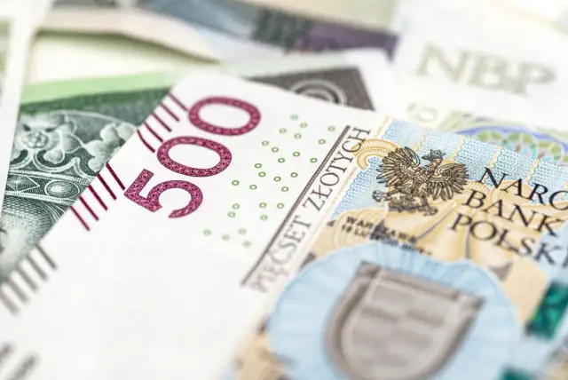 800 plus do 25 roku życia: Prawda czy mit? Alternatywy