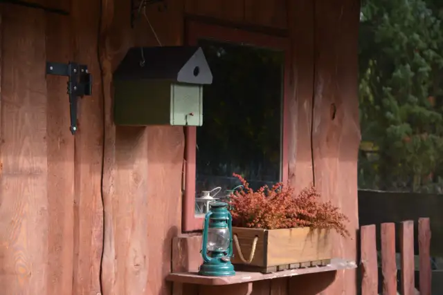 Jak powiesić budkę dla szpaka? Wysokość 4-5m to klucz do lęgu