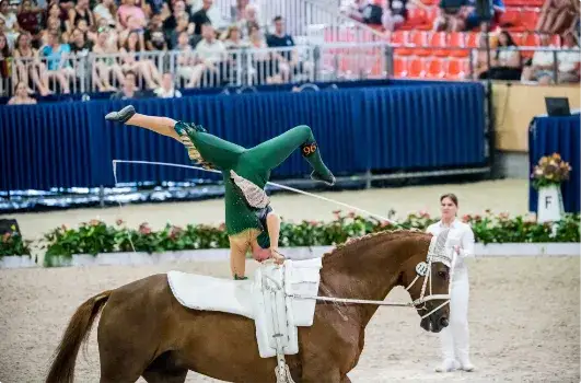 Ubezpieczenie jeździeckie PZJ: uniknij problemów na zawodach jeździeckich