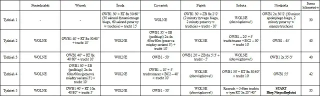 Gotowe plany treningowe: Bieganie od zera do 10 km za darmo