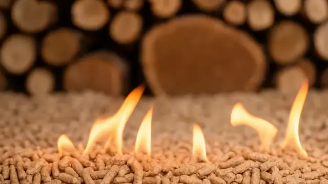 Czy pellet będzie zakazany? Sprawdź aktualne przepisy i przyszłość