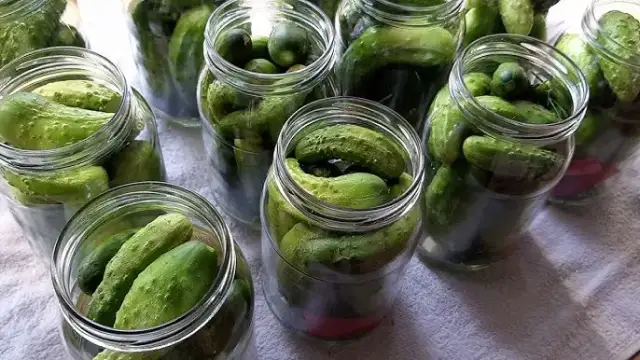 Ogórki kiszone na zimę: Idealnie chrupkie? Poznaj mój przepis!