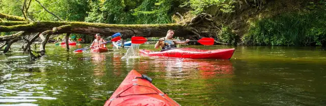 Spływ kajakowy Drawą (Drawno): Jak zaplanować? Trasy, koszty, porady