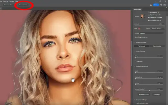 Portret kobiety z blond włosami i różowym tłem, z zaznaczonym przyciskiem "Haar verfeinern" w Photoshopie.