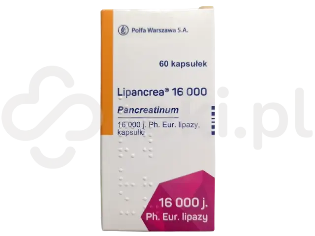Leki na trzustkę: Co wybrać, kiedy do lekarza? Poradnik eksperta