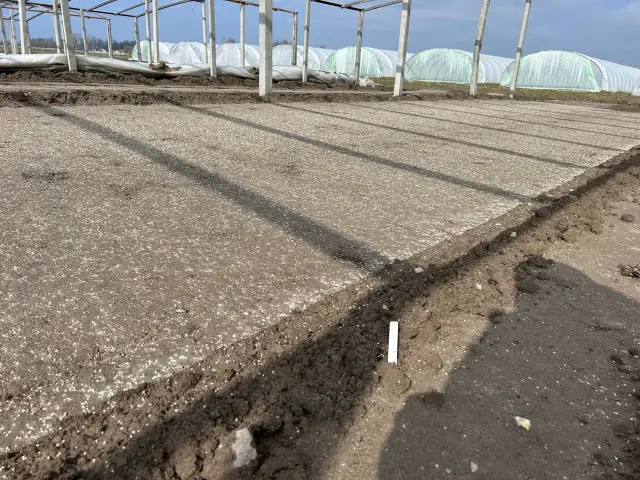 Skuteczne odkażanie gleby: Naturalnie czy chemicznie?