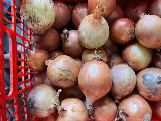 Duża czerwona skrzynka wypełniona po brzegi cebulami. Każda cebula to obietnica zdrowia, bo przecież "1 cebula dziennie" to podstawa.