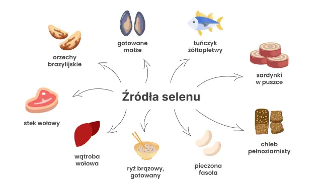 Orzechy brazylijskie, małże, tuńczyk, sardynki, stek wołowy, wątroba, ryż, fasola i chleb pełnoziarnisty to świetne źródła selenu.