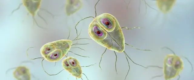 Skuteczne leki na lamblie: uniknij bólu i skutków ubocznych